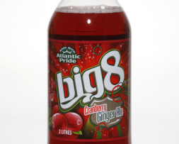 Big8CranberryGingerAle 2L